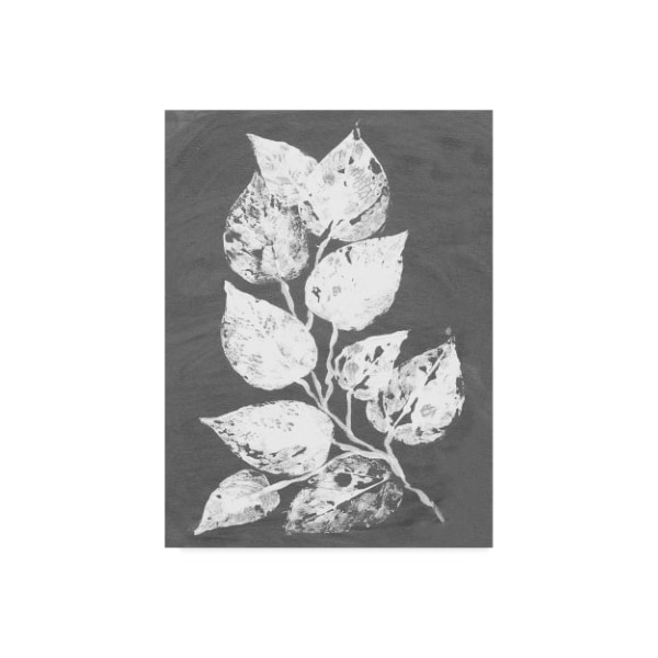 Trademark Fine Art Alicia Ludwig 'Frosty Philodendron Ii' Canvas Art, 18x24 - WAG01733-C1824GG