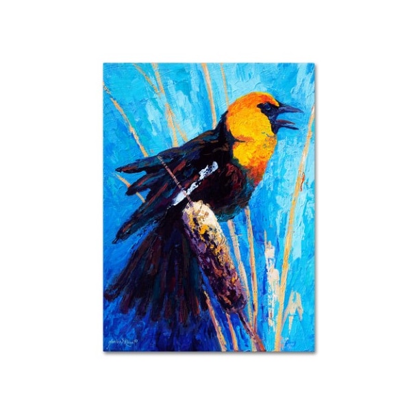 Trademark Fine Art Marion Rose 'Music' Canvas Art, 24x32 - ALI10556-C2432GG