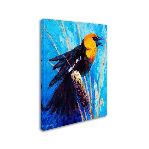 Trademark Fine Art Marion Rose 'Music' Canvas Art, 24x32 - ALI10556-C2432GG