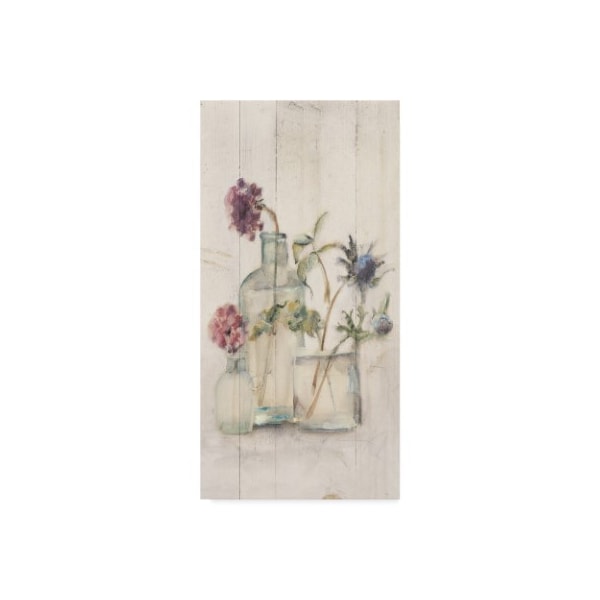 Trademark Fine Art Cheri Blum 'Blossoms on Birch II Panel' Canvas Art, 24x47 - WAP02725-C2447GG