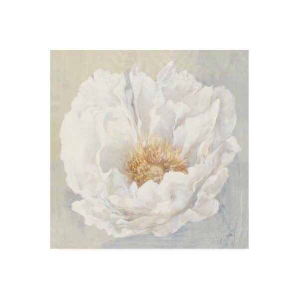 Trademark Fine Art Julia Purinton 'Serene Peony' Canvas Art, 35x35 - WAP09890-C3535GG