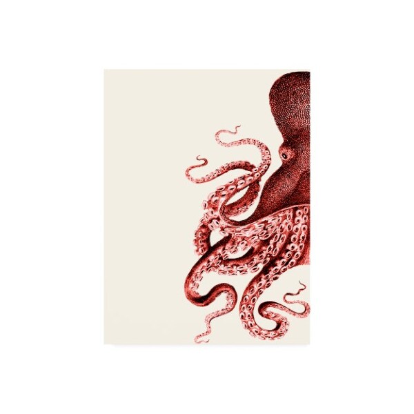 Trademark Fine Art Fab Funky 'Octopus Coral And Cream A' Canvas Art, 14x19 - WAG12409-C1419GG