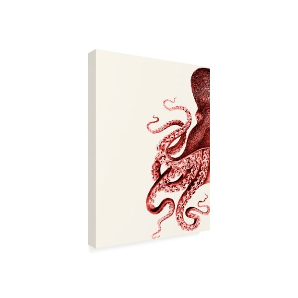 Trademark Fine Art Fab Funky 'Octopus Coral And Cream A' Canvas Art, 14x19 - WAG12409-C1419GG