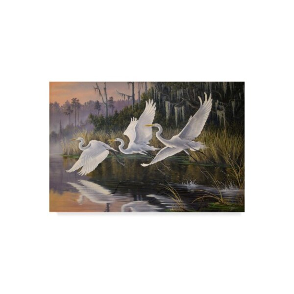 Trademark Fine Art Wilhelm Goebel 'Morning Departure Egrets' Canvas Art, 16x24 - ALI33652-C1624GG