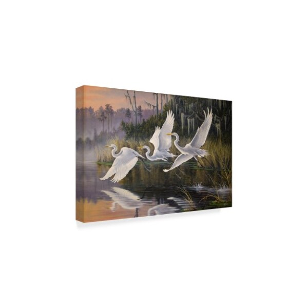 Trademark Fine Art Wilhelm Goebel 'Morning Departure Egrets' Canvas Art, 16x24 - ALI33652-C1624GG