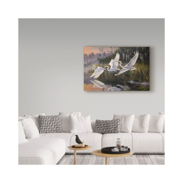 Trademark Fine Art Wilhelm Goebel 'Morning Departure Egrets' Canvas Art, 16x24 - ALI33652-C1624GG