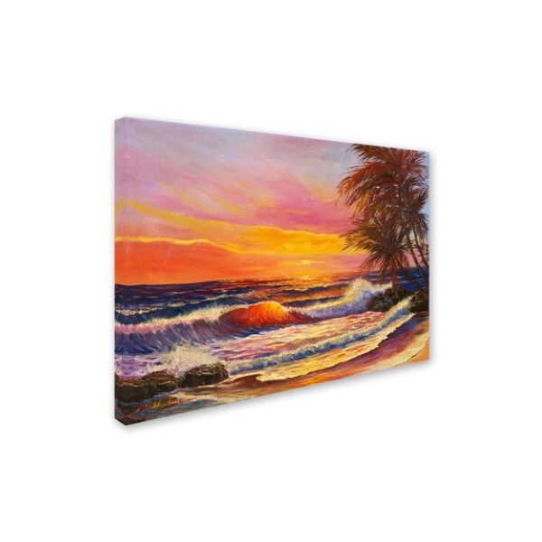 Trademark Fine Art Manor Shadian 'Hawaiian Glow' Canvas Art, 35x47 - MA0822-C3547GG