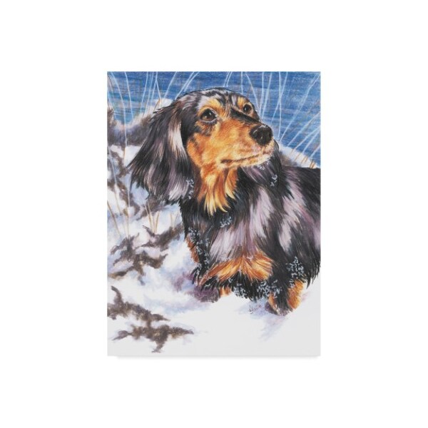 Trademark Fine Art Barbara Keith 'Dachshund In Snow' Canvas Art, 14x19 - ALI25425-C1419GG