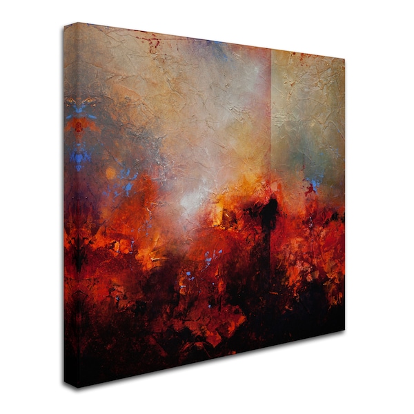 Trademark Fine Art Cody Hooper 'Red Earth' Canvas Art, 35x35 - ALI0278-C3535GG