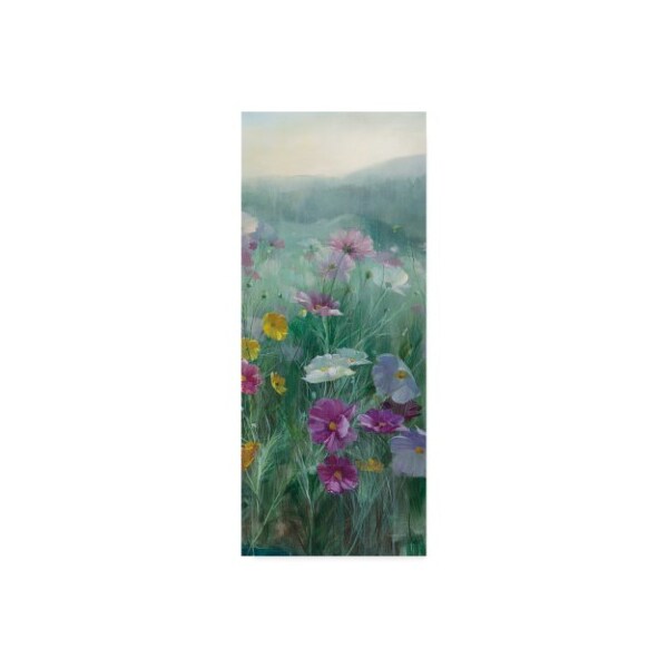 Trademark Fine Art Danhui Nai 'Cosmos at Dawn III' Canvas Art, 20x47 - WAP03954-C2047GG
