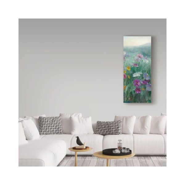 Trademark Fine Art Danhui Nai 'Cosmos at Dawn III' Canvas Art, 20x47 - WAP03954-C2047GG