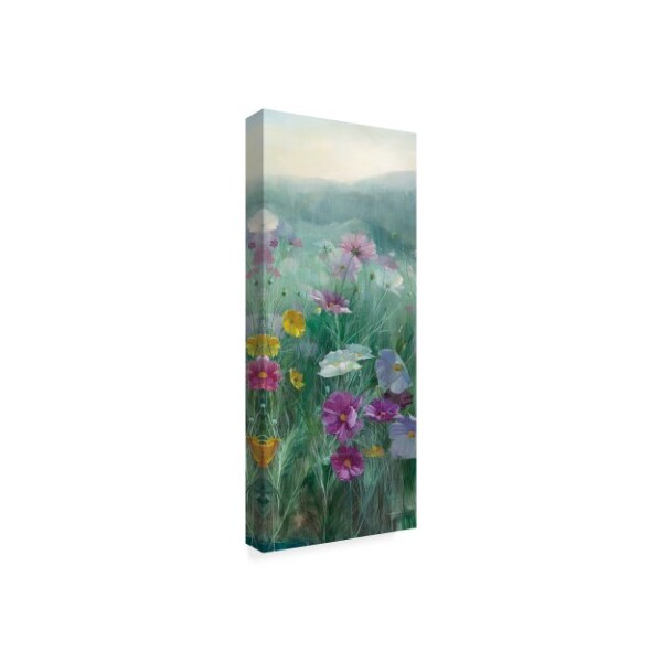 Trademark Fine Art Danhui Nai 'Cosmos at Dawn III' Canvas Art, 20x47 - WAP03954-C2047GG