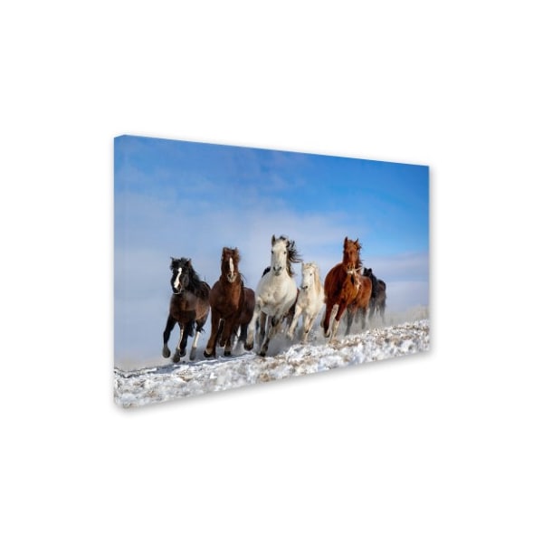 Trademark Fine Art Libby Zhang 'Mongolia Horses' Canvas Art, 12x19 - 1X00985-C1219GG