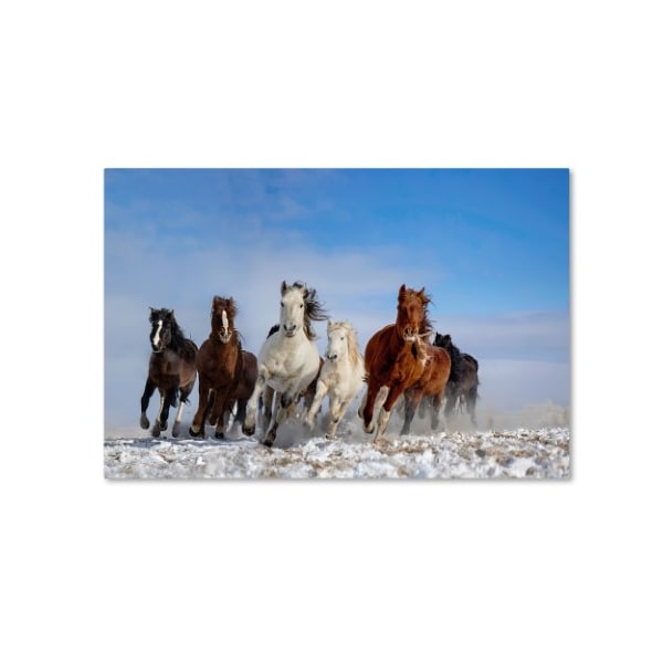 Trademark Fine Art Libby Zhang 'Mongolia Horses' Canvas Art, 12x19 - 1X00985-C1219GG
