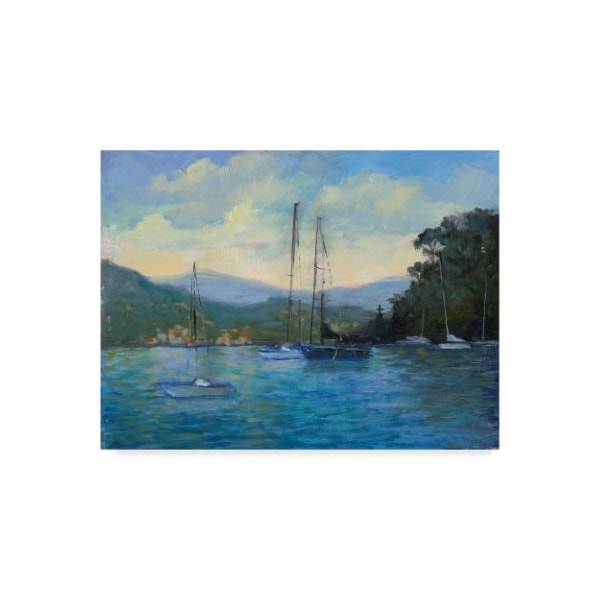 Trademark Fine Art Mary Jean Weber 'Portofino Bay' Canvas Art, 14x19 - WAG02187-C1419GG