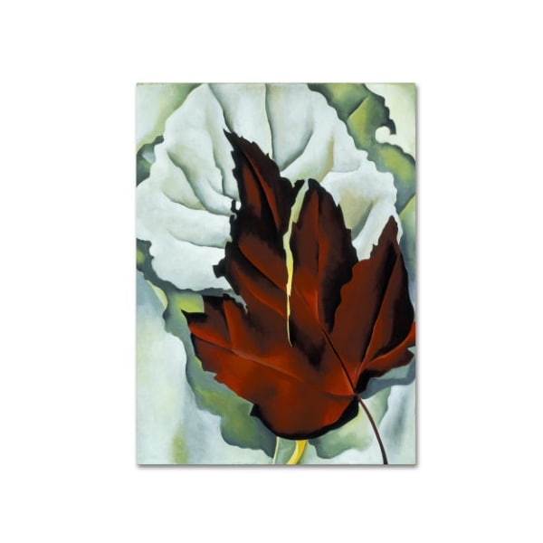 Trademark Fine Art Georgia O'Keefe 'Pattern of Leaves' Canvas Art, 18x24 - ALI10076-C1824GG