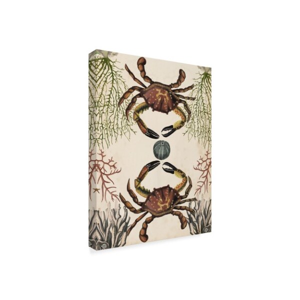 Trademark Fine Art Naomi Mccavitt 'Antiquarian Menagerie Crab' Canvas Art, 14x19 - WAG04693-C1419GG