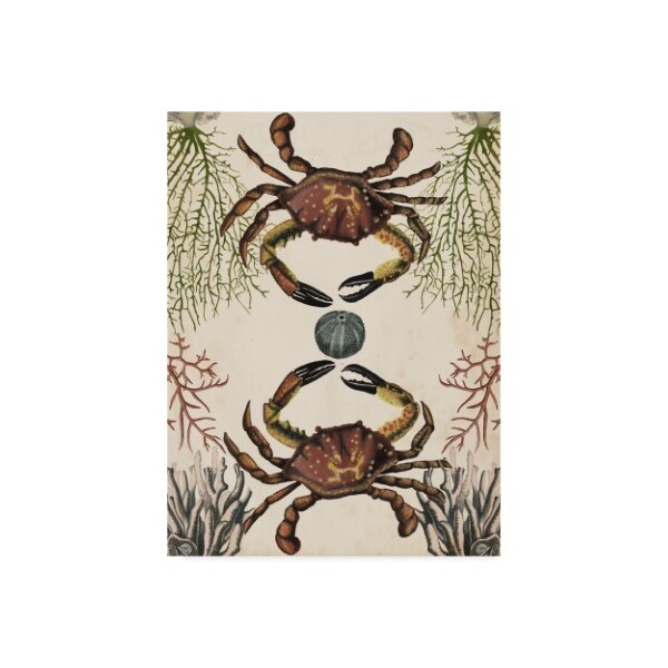 Trademark Fine Art Naomi Mccavitt 'Antiquarian Menagerie Crab' Canvas Art, 14x19 - WAG04693-C1419GG