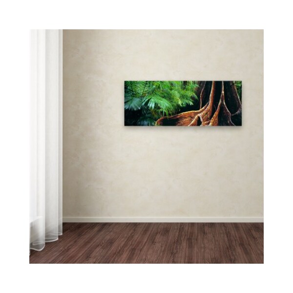 Trademark Fine Art David Evans 'Rainforest Fig-Qld' Canvas Art, 16x47 - DE0075-C1647GG