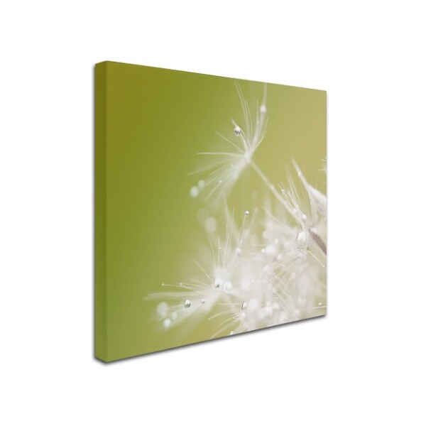 Trademark Fine Art Hilde Ghesquiere 'Green' Canvas Art, 18x18 - 1X02011-C1818GG