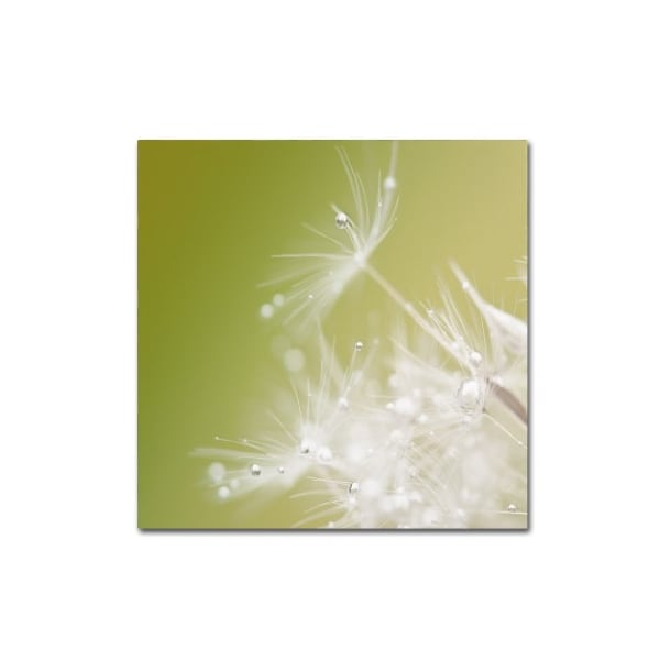Trademark Fine Art Hilde Ghesquiere 'Green' Canvas Art, 18x18 - 1X02011-C1818GG