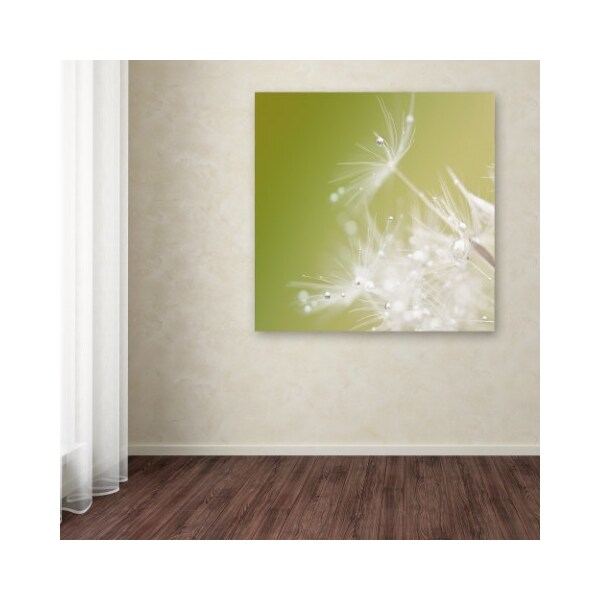 Trademark Fine Art Hilde Ghesquiere 'Green' Canvas Art, 18x18 - 1X02011-C1818GG
