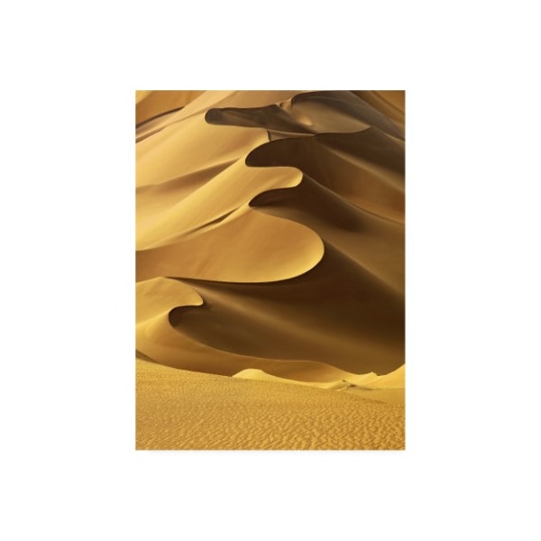 Trademark Fine Art Design Fabrikken 'In the Dunes 2 Fabrikken' Canvas Art, 14x19 - IC01456-C1419GG