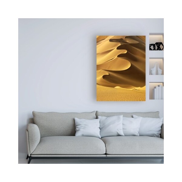 Trademark Fine Art Design Fabrikken 'In the Dunes 2 Fabrikken' Canvas Art, 14x19 - IC01456-C1419GG