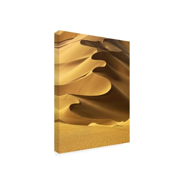 Trademark Fine Art Design Fabrikken 'In the Dunes 2 Fabrikken' Canvas Art, 14x19 - IC01456-C1419GG