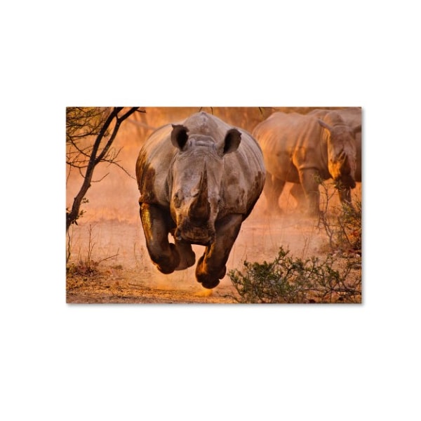 Trademark Fine Art Justus Vermaak 'Rhino Learning To Fly' Canvas Art, 30x47 - 1X02422-C3047GG