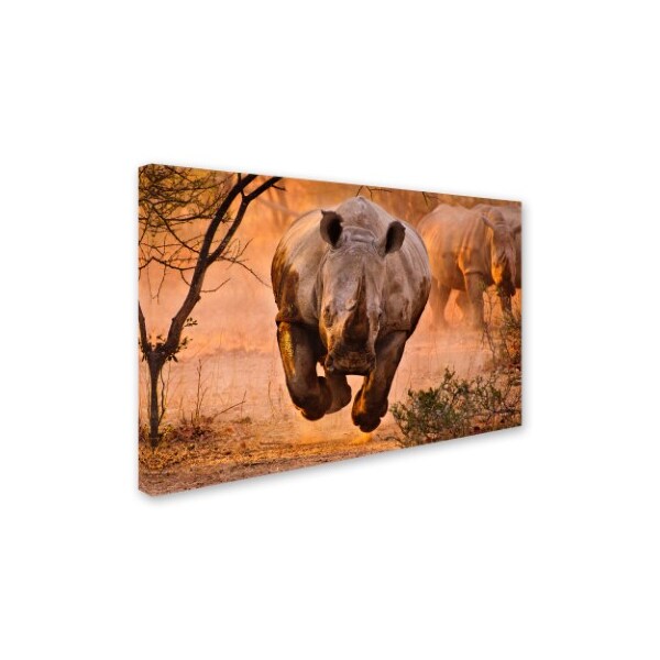Trademark Fine Art Justus Vermaak 'Rhino Learning To Fly' Canvas Art, 30x47 - 1X02422-C3047GG