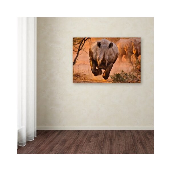 Trademark Fine Art Justus Vermaak 'Rhino Learning To Fly' Canvas Art, 30x47 - 1X02422-C3047GG