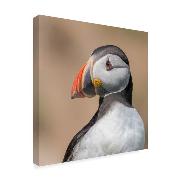 Trademark Fine Art Piotr Galus 'Puffin Portrait' Canvas Art, 18x18 - 1X05857-C1818GG