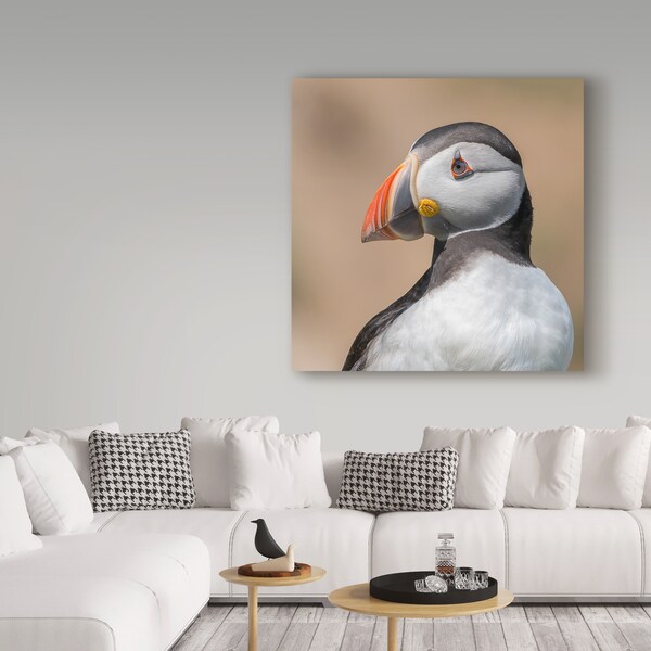 Trademark Fine Art Piotr Galus 'Puffin Portrait' Canvas Art, 18x18 - 1X05857-C1818GG