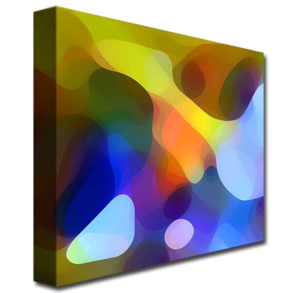 Trademark Fine Art Dappled Light and Shade by Amy Vangsgard- Ready to Hang!, 35x47 - AV013-C3547GG