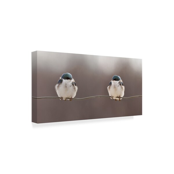 Trademark Fine Art Lucie Gagnon 'Blue Birds On A Wire' Canvas Art, 12x24 - 1X07820-C1224GG