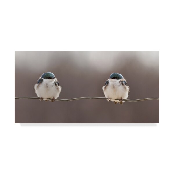 Trademark Fine Art Lucie Gagnon 'Blue Birds On A Wire' Canvas Art, 12x24 - 1X07820-C1224GG