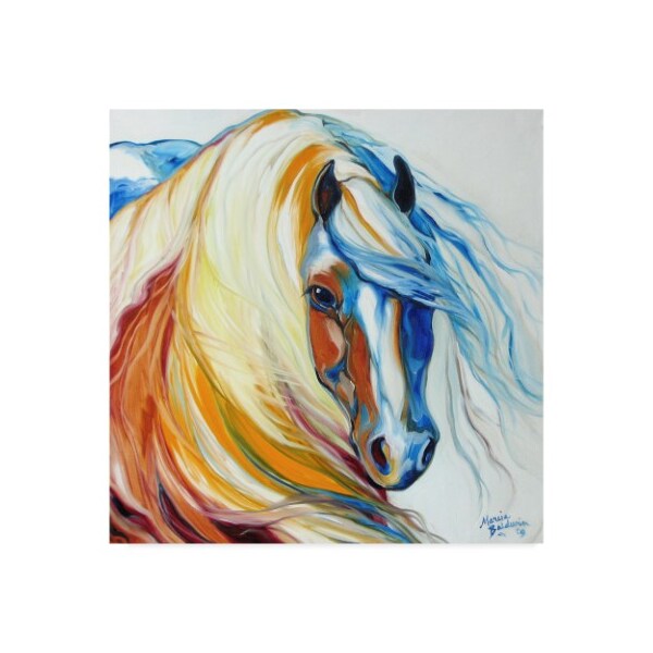 Trademark Fine Art Marcia Baldwin 'Gypsy Vanner Dream' Canvas Art, 14x14 - ALI34624-C1414GG