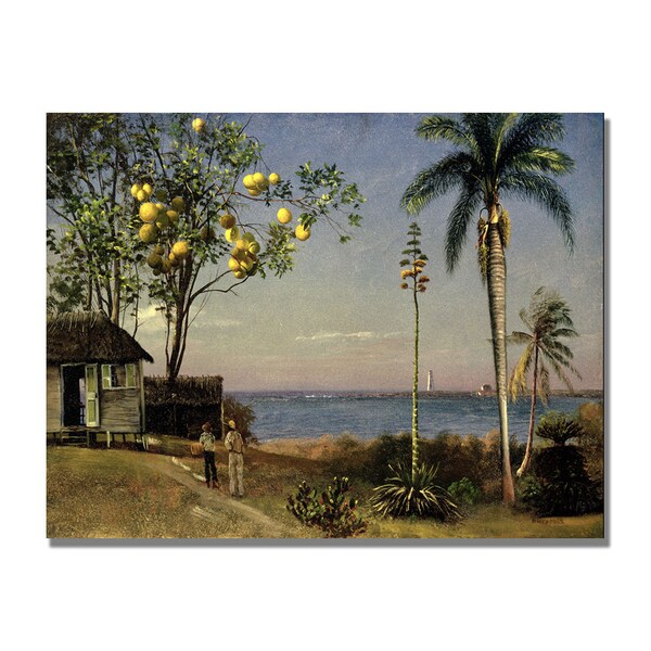 Trademark Fine Art Albert Biersdant 'Tropical Scene' Canvas Art, 30x47 - BL0845-C3047GG