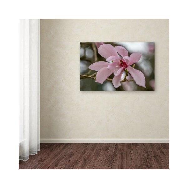 Trademark Fine Art Pierre Leclerc 'Magnolia' Canvas Art, 16x24 - PL0131-C1624GG
