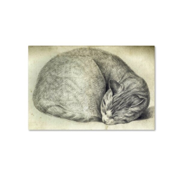 Trademark Fine Art Vintage Apple Collection 'Sleeping Cat' Canvas Art, 30x47 - ALI6623-C3047GG