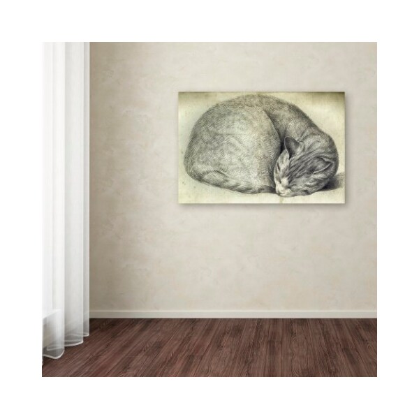 Trademark Fine Art Vintage Apple Collection 'Sleeping Cat' Canvas Art, 30x47 - ALI6623-C3047GG