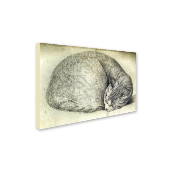 Trademark Fine Art Vintage Apple Collection 'Sleeping Cat' Canvas Art, 30x47 - ALI6623-C3047GG