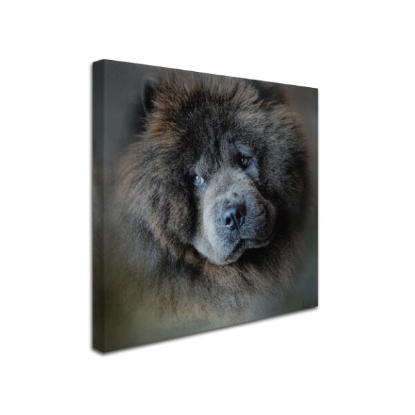 Trademark Fine Art Jai Johnson 'Watching Master Blue Chow Chow' Canvas Art, 14x14 - ALI14304-C1414GG