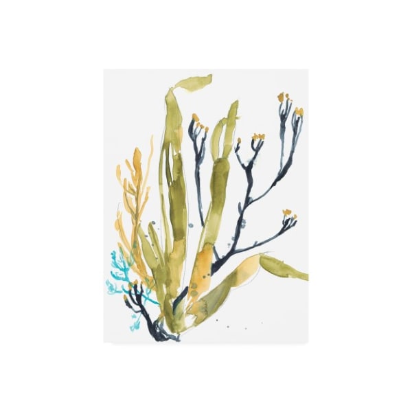 Trademark Fine Art Jennifer Goldberger 'Reef Illusion Ii' Canvas Art, 14x19 - WAG11099-C1419GG