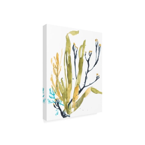 Trademark Fine Art Jennifer Goldberger 'Reef Illusion Ii' Canvas Art, 14x19 - WAG11099-C1419GG