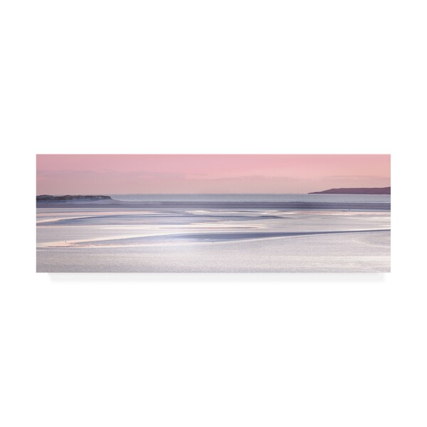 Trademark Fine Art Lynne Douglas 'Silver Sands' Canvas Art, 6x19 - IC00510-C619GG