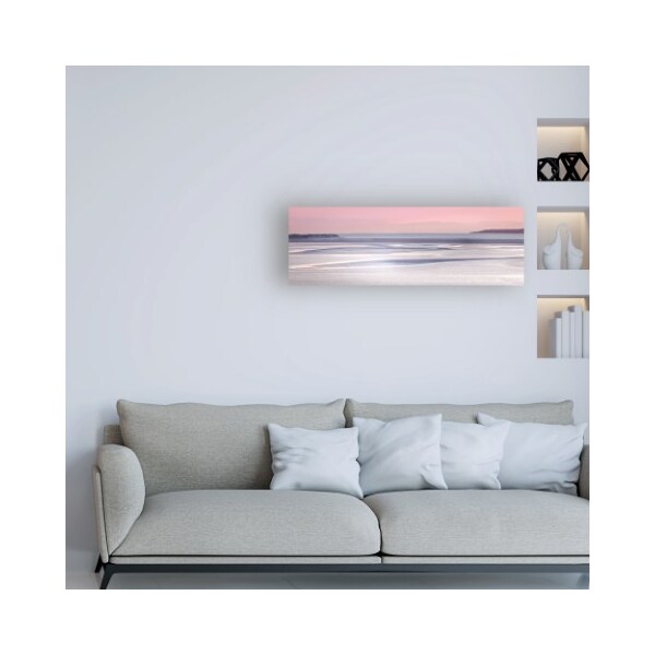 Trademark Fine Art Lynne Douglas 'Silver Sands' Canvas Art, 6x19 - IC00510-C619GG