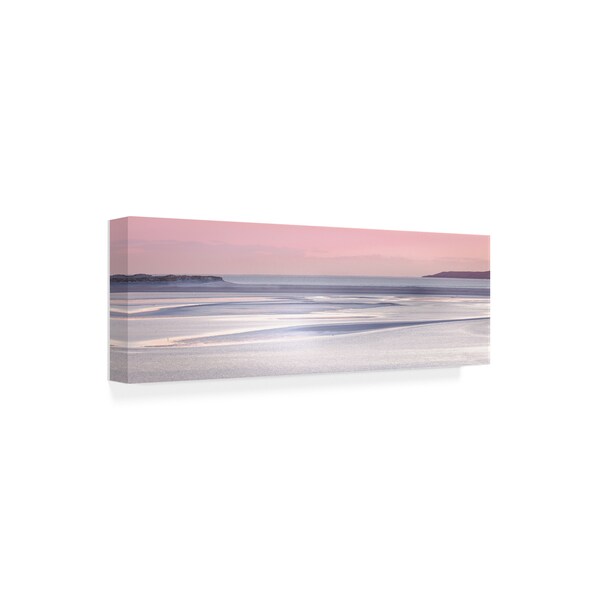 Trademark Fine Art Lynne Douglas 'Silver Sands' Canvas Art, 6x19 - IC00510-C619GG