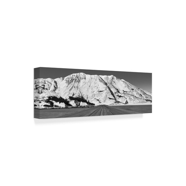 Trademark Fine Art Brenda Petrella Photography Llc 'Road To Destruction Bay' Canvas Art, 8x24 - ALI40340-C824GG